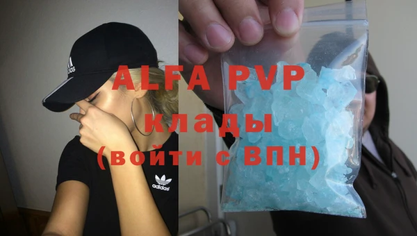 спайс Бородино