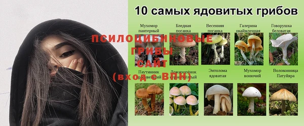 не бодяженный Белая Холуница